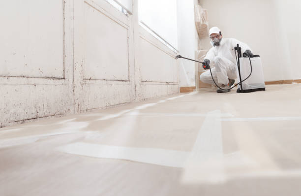24/7 Emergency Basement Mold Remediation experts in Hollywood, FL